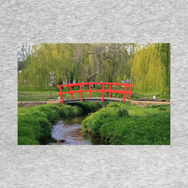 The Bourne Stream, Coy Pond, April 2021 by RedHillDigital